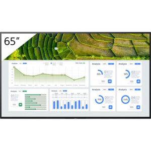 SONY Professional Display Bravia FW-65BZ30L 65"